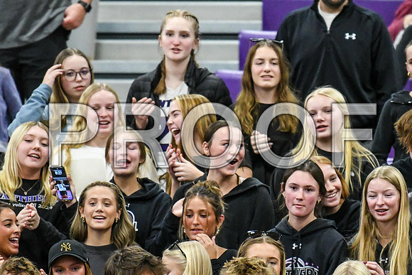 DSC_3371