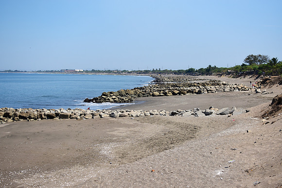 GEN_8459
