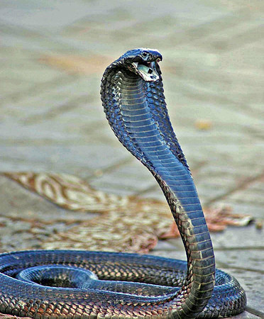 DSC_0305_edited-1.jpg