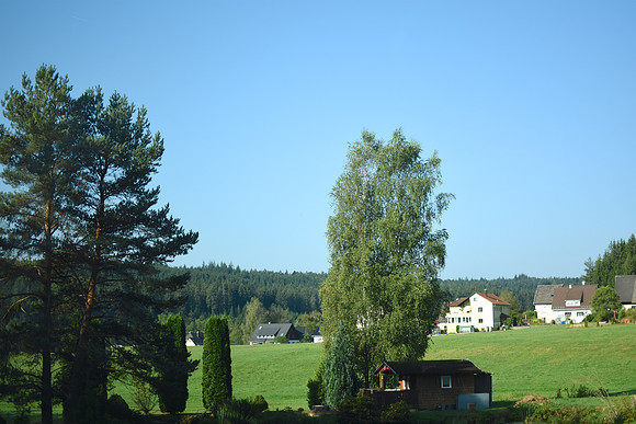 GEN_9585
