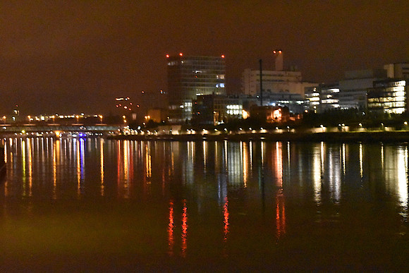 DSC_1194