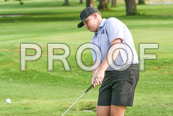 GAG_9263