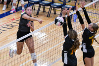 DSC_4536