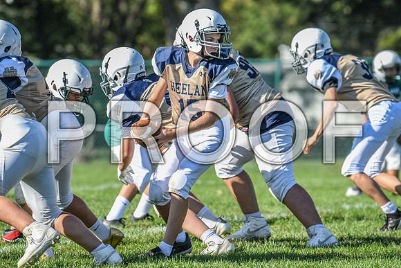 DSC_8729