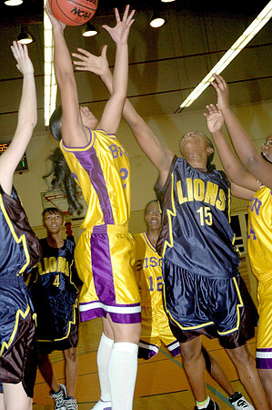 07-01-30MHSBBall 013