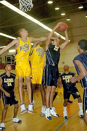 07-01-20MannheimBBall 024