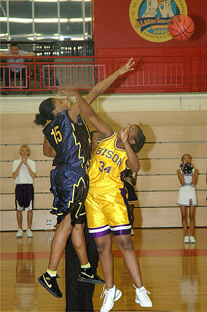 07-01-30MHSBBall 012