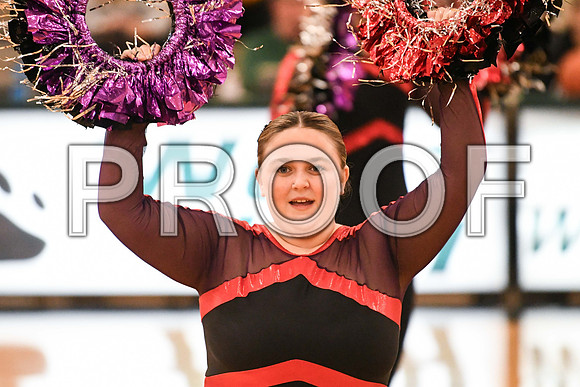 DSC_3572