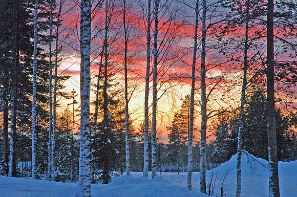 DSC_0188a.JPG