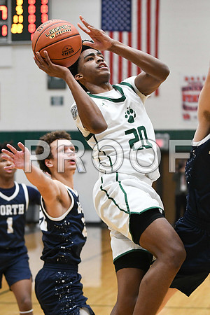 DSC_7504