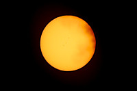 GEN_8856