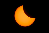 GEN_8956