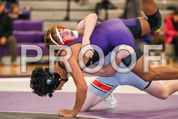 DSC_1199