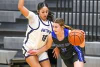 ELKPOINT JEFFERSON Girl's C Basketball at DAKOTA VALLEY