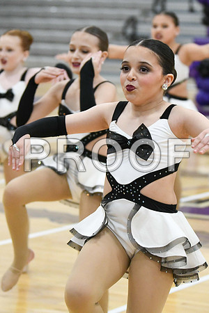 DSC_2411