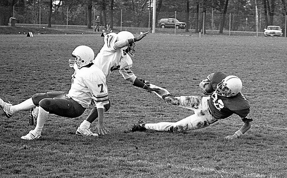 img231