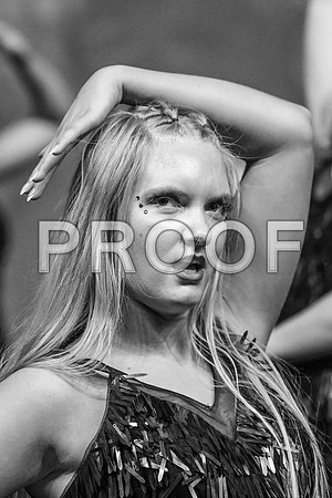 DSC_3779