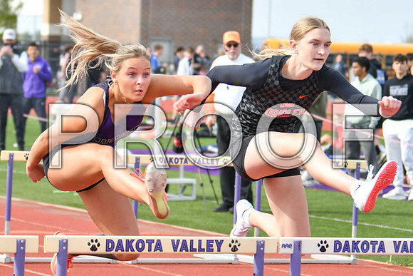 GAG_3010
