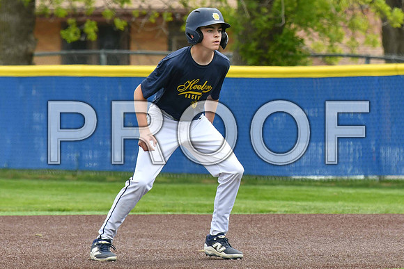 GAG_2387