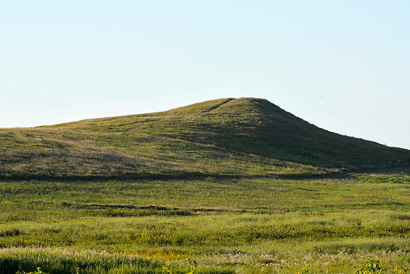 GEN_0163
