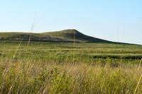 GEN_0181