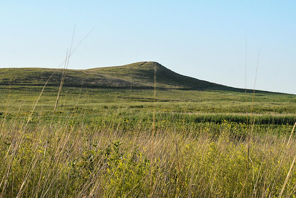 GEN_0181