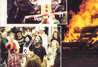 Image (12)-2