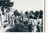 Image (14)-2