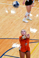 GAG_6133