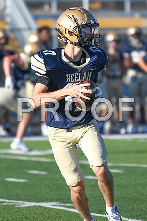 DSC_5398
