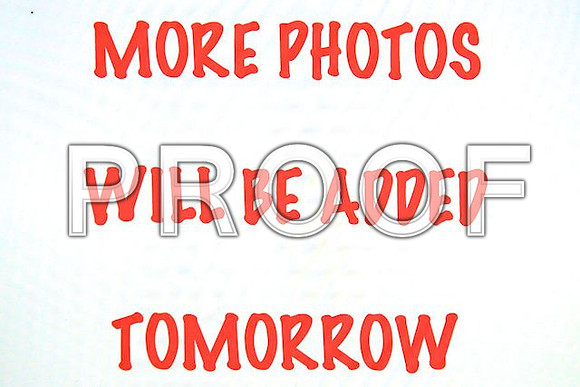 MORE PHOTOS TOMORROW