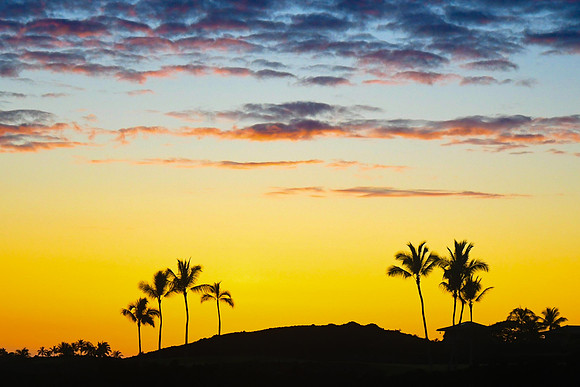 GAG_5008