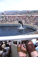 Sea World