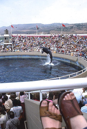 Sea World