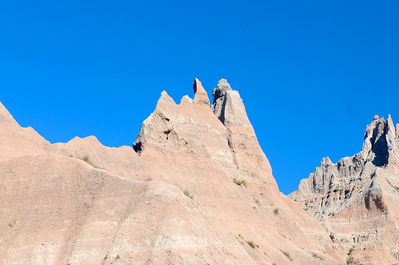 DSC_4244