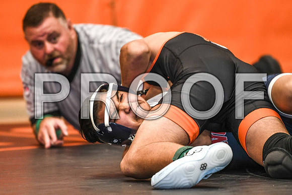 DSC_0432