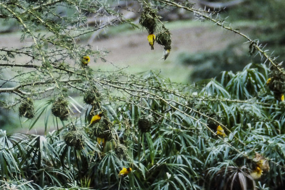 IMAG0006-2-2