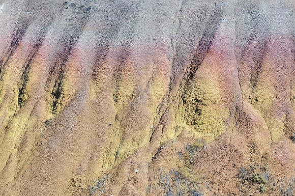 DSC_4365
