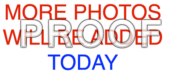 MORE PHOTOS TODAY