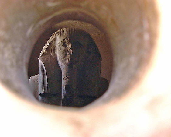 EgyptGuard at Step