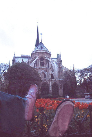 Notre Dame Cathedral, Paris