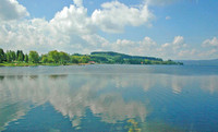 DSC_0019_edited-1