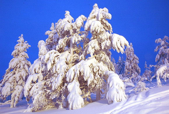 DSC_0261