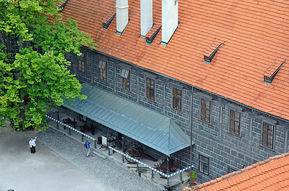 DSC_0206