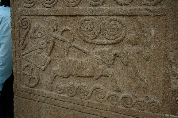 DSC_0048