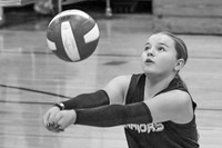 DSC_3975-2