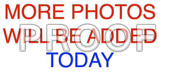 MORE PHOTOS TODAY