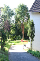GEN_8579