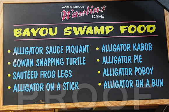 DSC_7300 - 2013-02-08 at 12-25-48
