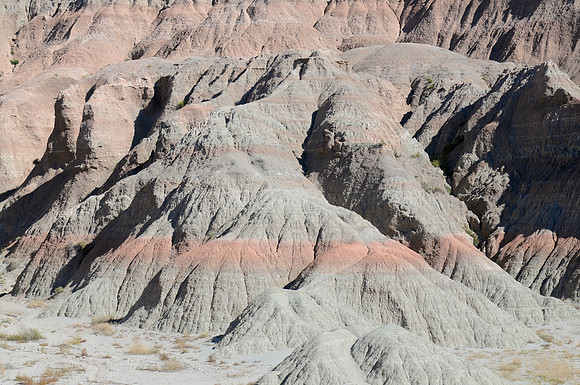 DSC_4237